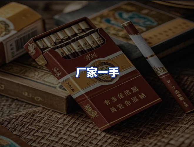 专业团队